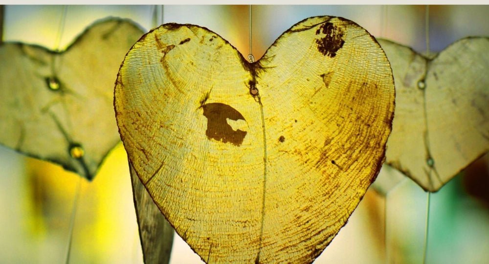 A Matter of the Heart - ALittlePeace