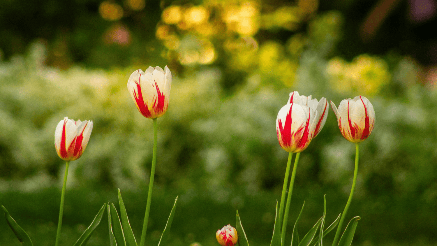 Preparing Your Skin For Spring - ALittlePeace