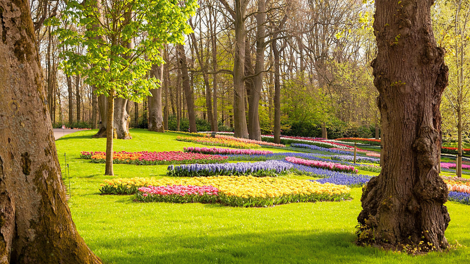 Preparing Your Skin For Spring - ALittlePeace