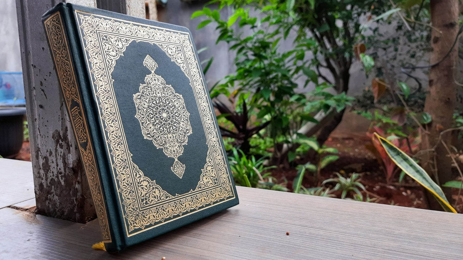 The Month of Mercy & Forgiveness - ALittlePeace