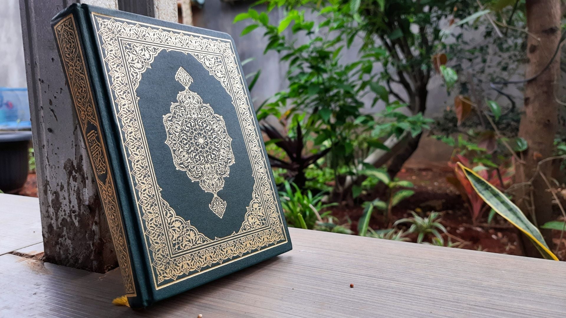 The Month of Mercy & Forgiveness - ALittlePeace