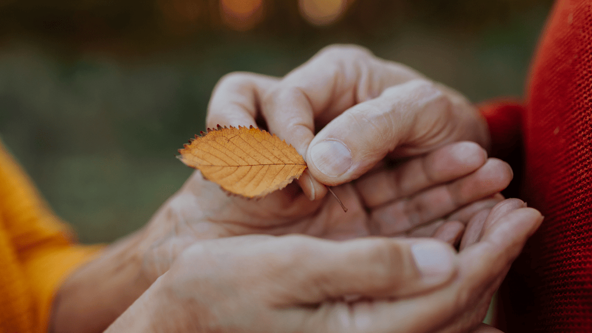 Your Skin Changes With the Seasons - ALittlePeace