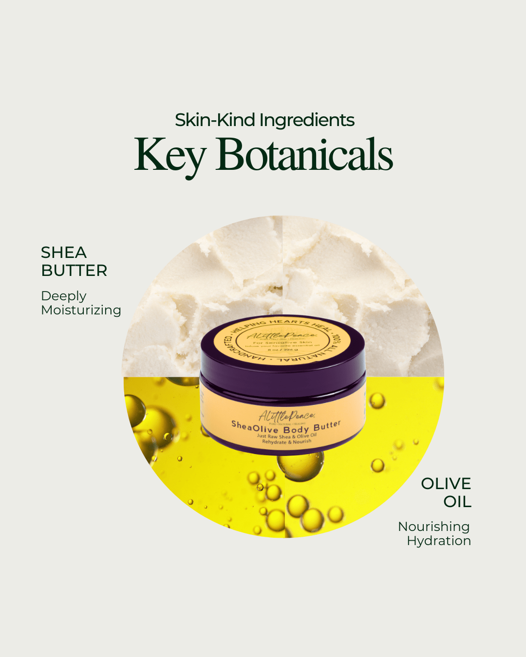 A jar of ALittlePeace SheaOlive Body Butter in front, with shea butter and olive oil displayed behind it as the key ingredients on a clean, educational background.
