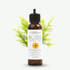 Bliss Foot Oil | Tea Tree & Calendula - ALittlePeace